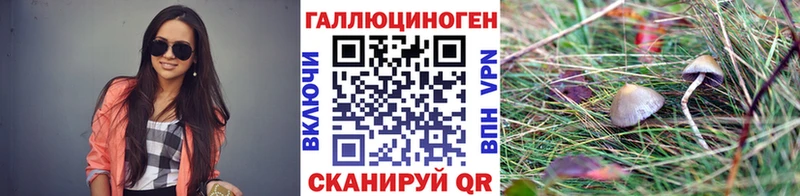 Галлюциногенные грибы Magic Shrooms  Злынка 